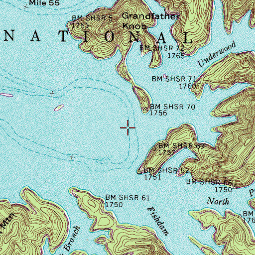 Topographic Map of Horseshoe Bend (historical), TN