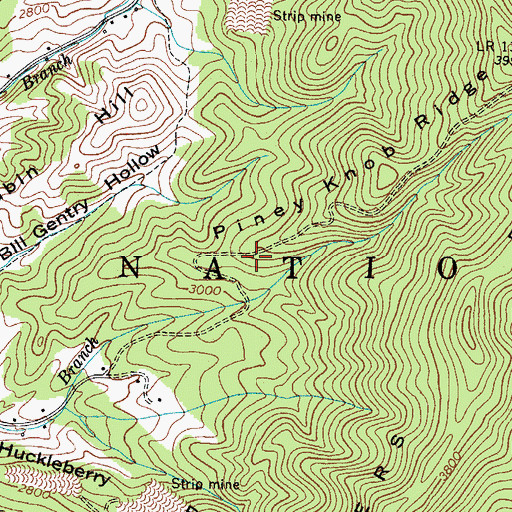 Topographic Map of Big Rock Prospect, TN