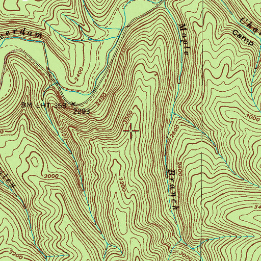 Topographic Map of Chalk Branch Prospect, TN