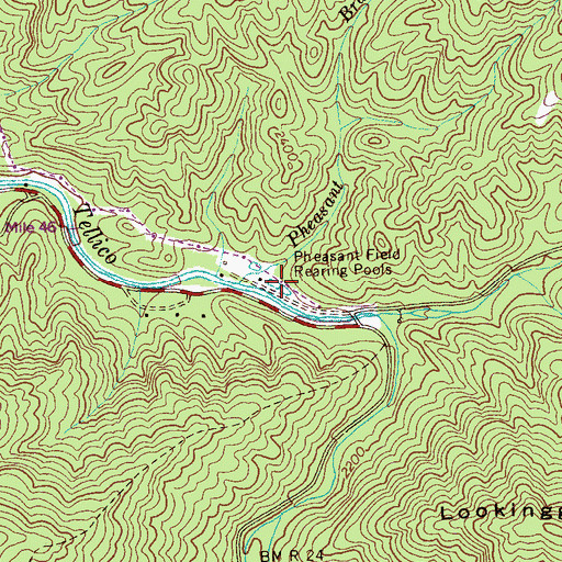 Topographic Map of Pheasant Field Rearing Pools, TN