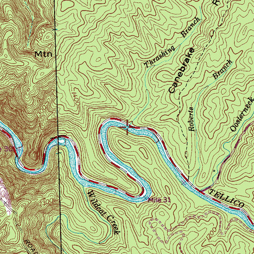 Topographic Map of Thrashing Branch, TN