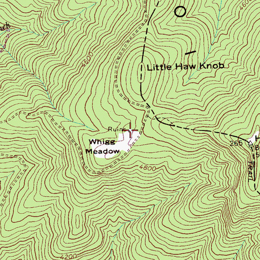 Topographic Map of Whigg Cabin, TN