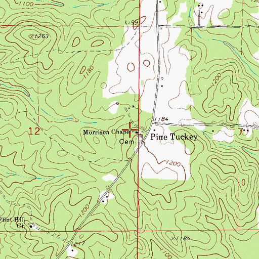 Topographic Map of Morrison Chapel, AL