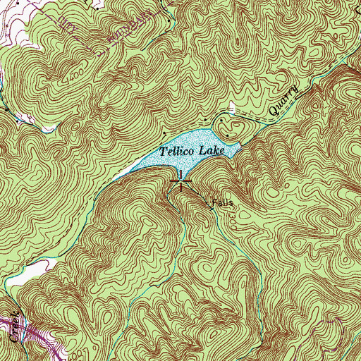 Topographic Map of Fall Branch, TN