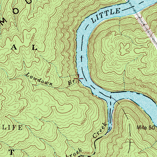 Topographic Map of Lowdown Branch, TN