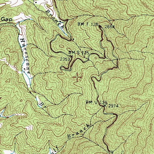 Topographic Map of Junebug Spring, TN