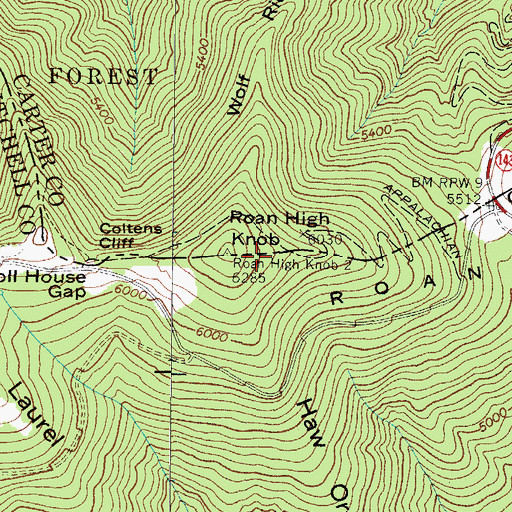 Topographic Map of Roan High Knob Picnic Area, NC