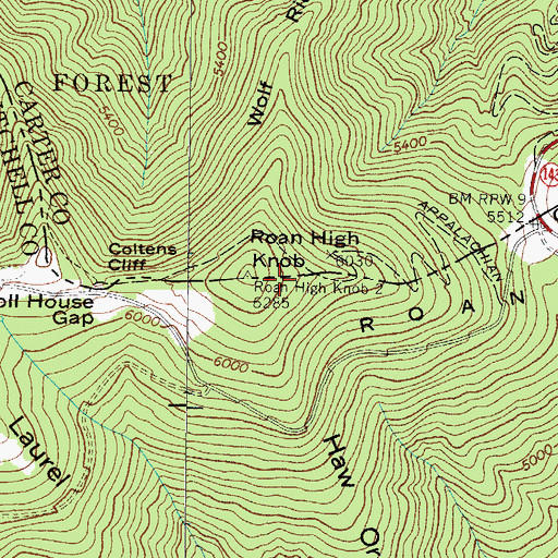 Topographic Map of Roan High Knob Picnic Area, NC