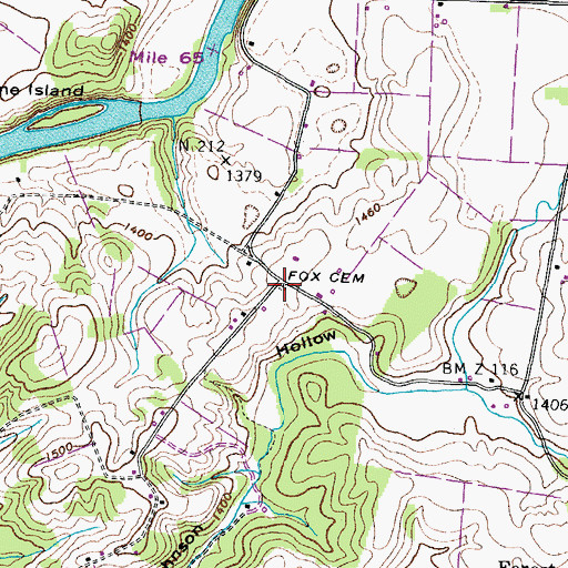 Topographic Map of Fox Cemetery, TN