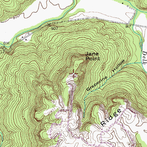 Topographic Map of Jane Point, TN