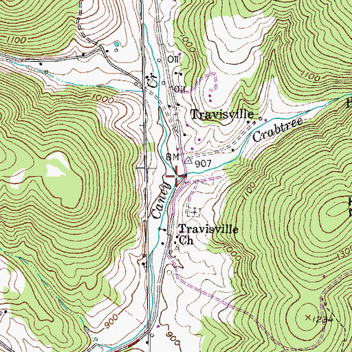 Topographic Map of Crabtree Branch, TN