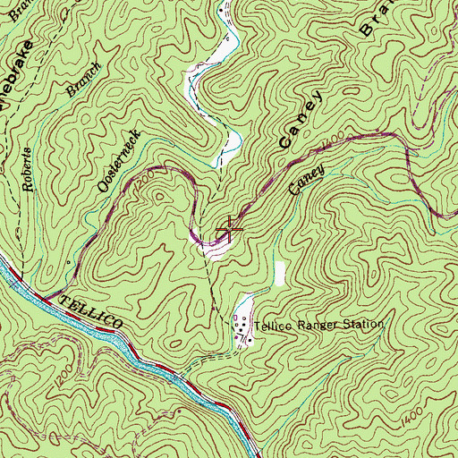 Topographic Map of Caney Branch Observation Site, TN