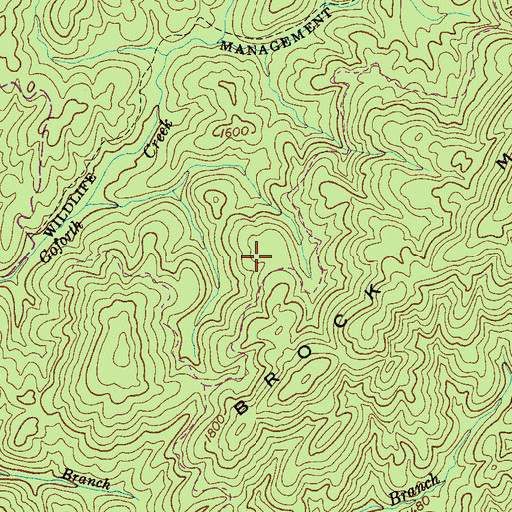 Topographic Map of Hedden Grave, TN