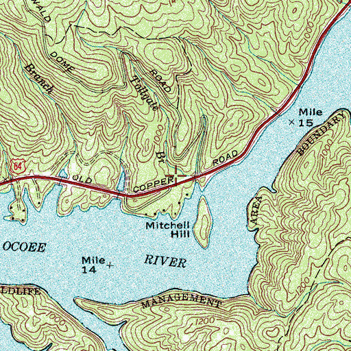 Topographic Map of Ocoee Ranger Station, TN