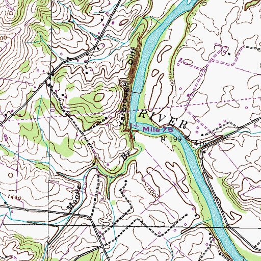 Topographic Map of Moore Branch, TN
