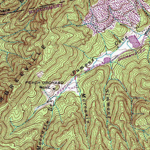Topographic Map of Moccasin Branch, TN