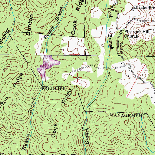 Topographic Map of Cook Branch, TN