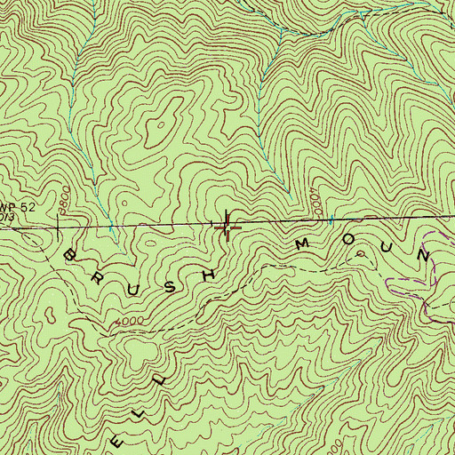 Topographic Map of Brush Mountain, TN