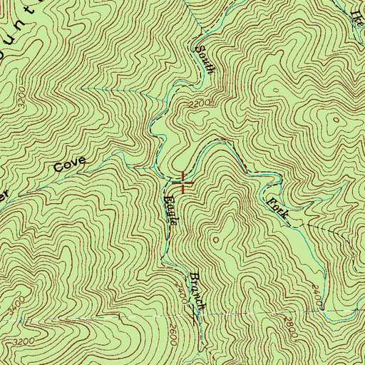 Topographic Map of Eagle Branch, TN