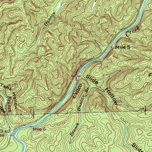 Topographic Map of Duncan Branch, TN