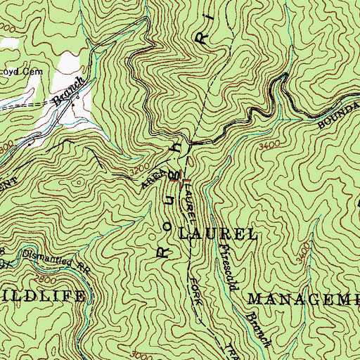 Topographic Map of Rough Ridge, TN