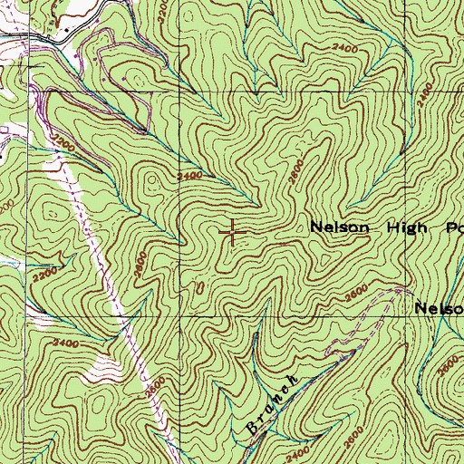 Topographic Map of Nelson High Point, TN