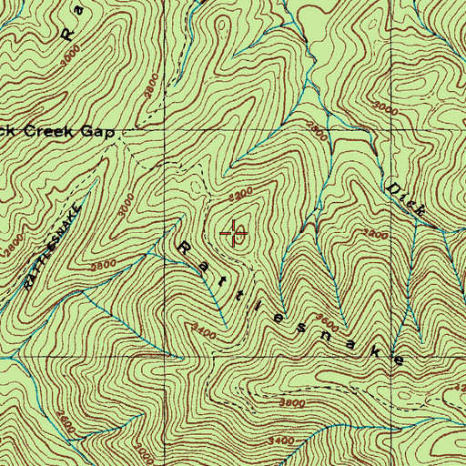 Topographic Map of Rattlesnake Ridge, TN