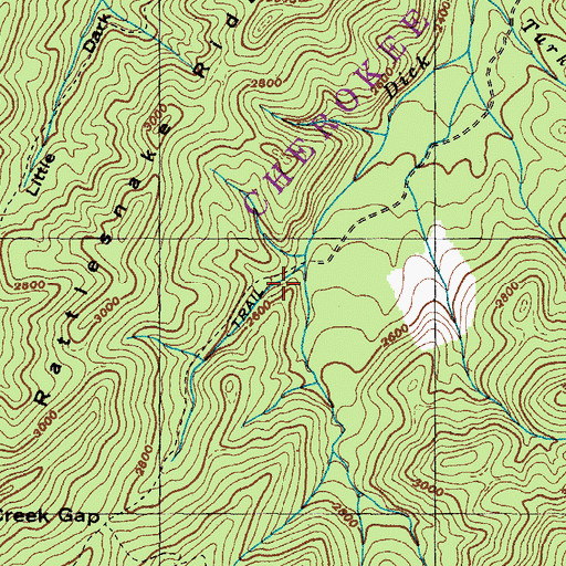 Topographic Map of Rattlesnake Trail, TN