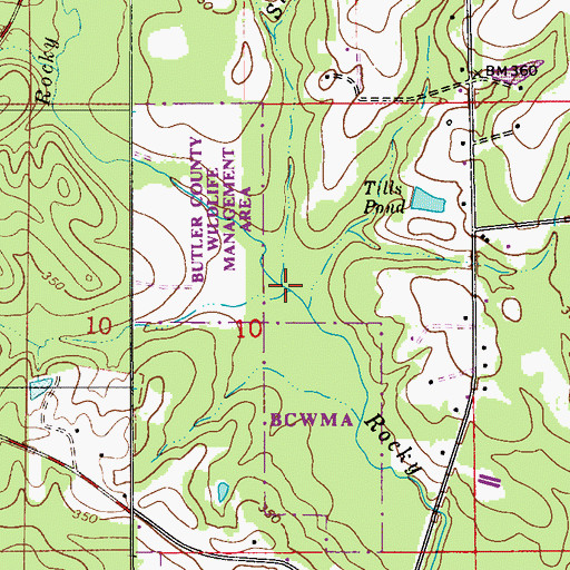 Topographic Map of Sulphur Branch, AL