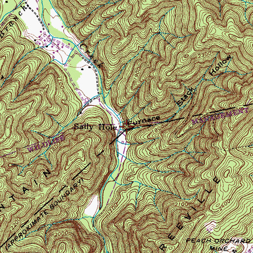 Topographic Map of Furnace Stack Hollow, TN
