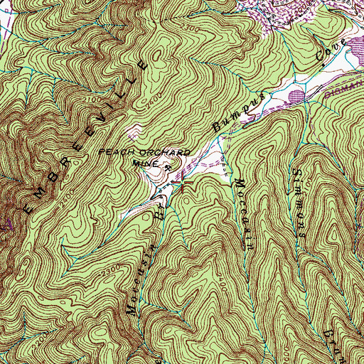 Topographic Map of Little Moccasin Branch, TN