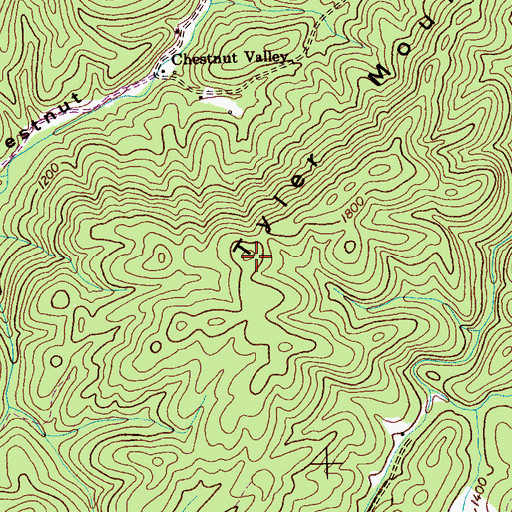 Topographic Map of Tyler Mountain, TN