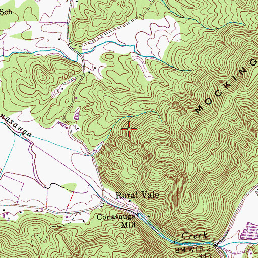 Topographic Map of Queens Mountain, TN