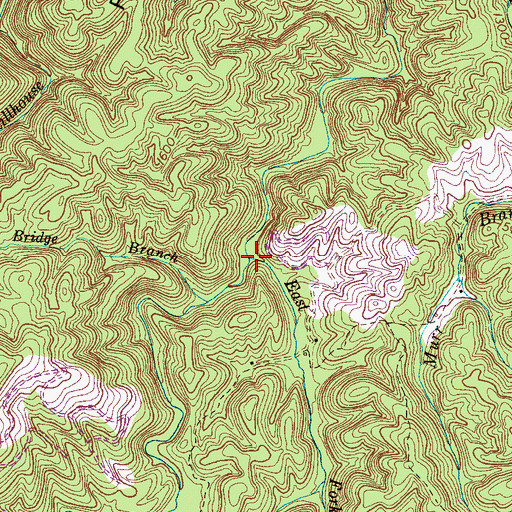 Topographic Map of East Fork Lyons Creek, TN