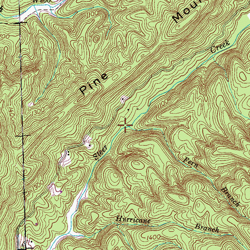 Topographic Map of Fern Branch, TN