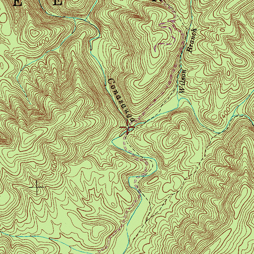 Topographic Map of Hog Branch, TN