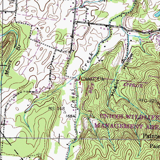 Topographic Map of Cassi Church, TN