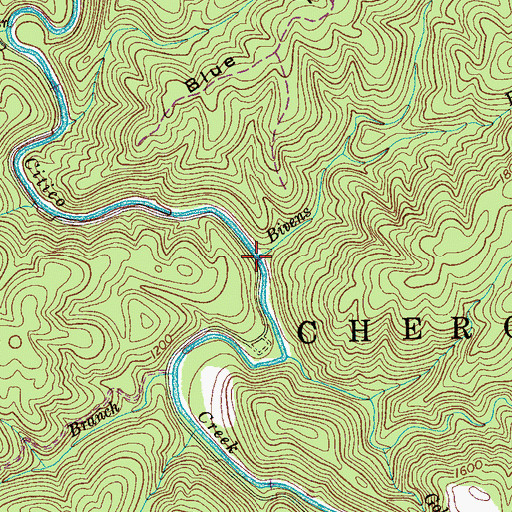 Topographic Map of Bivens Branch, TN
