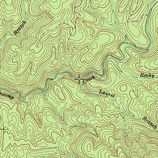 Topographic Map of Laurel Branch, TN