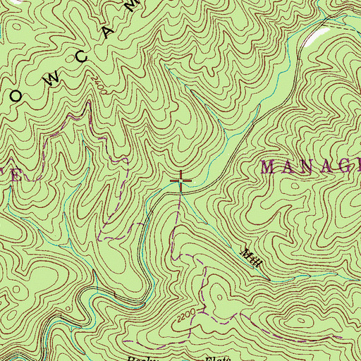 Topographic Map of Mill Branch, TN