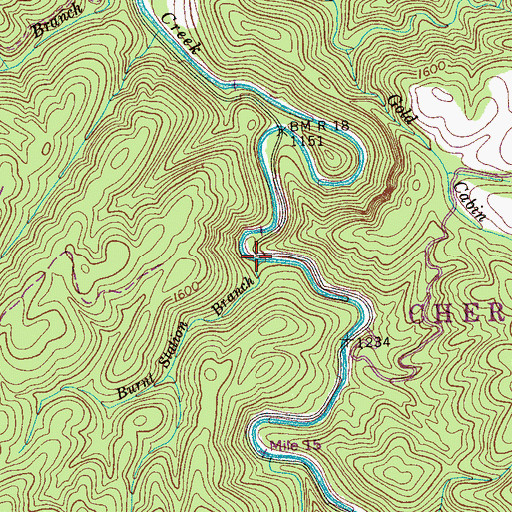 Topographic Map of Burnt Station Branch, TN