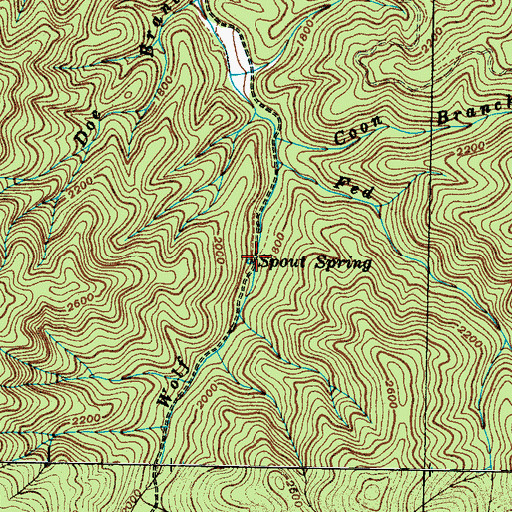 Topographic Map of Spout Spring, TN