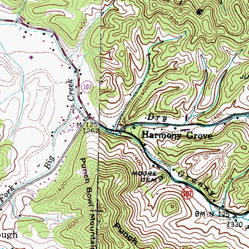 Topographic Map of Granny Branch, TN