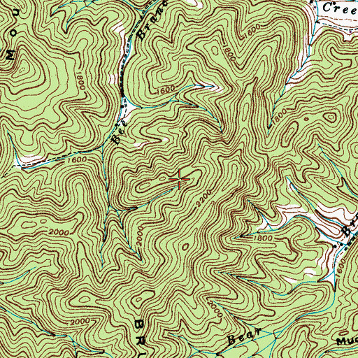 Topographic Map of Mooneyham Branch, TN