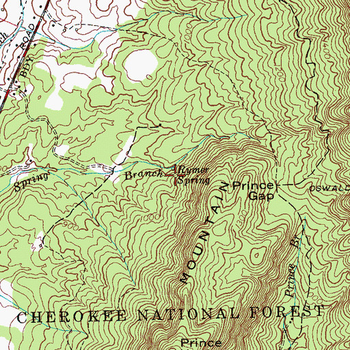 Topographic Map of Ryner Spring, TN