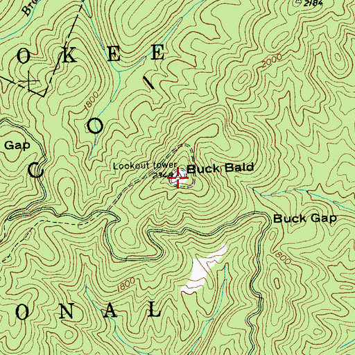 Topographic Map of Buck Bald Lookout, TN