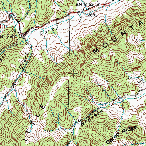 Topographic Map of Little Mountain, TN