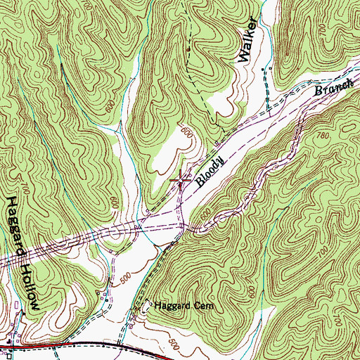 Topographic Map of Bloody Branch Cemetery, TN