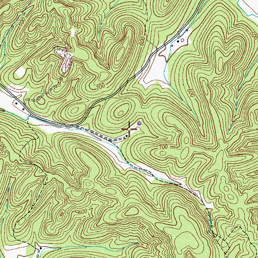 Topographic Map of Newborn Cemetery, TN