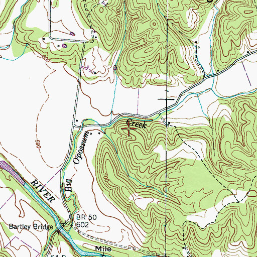 Topographic Map of Whitehead Cemetery, TN